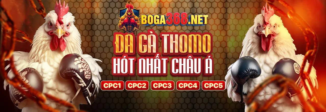 Đá Gà Trực Tuyến tải 188vv